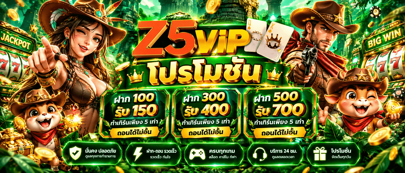 Z5VIP