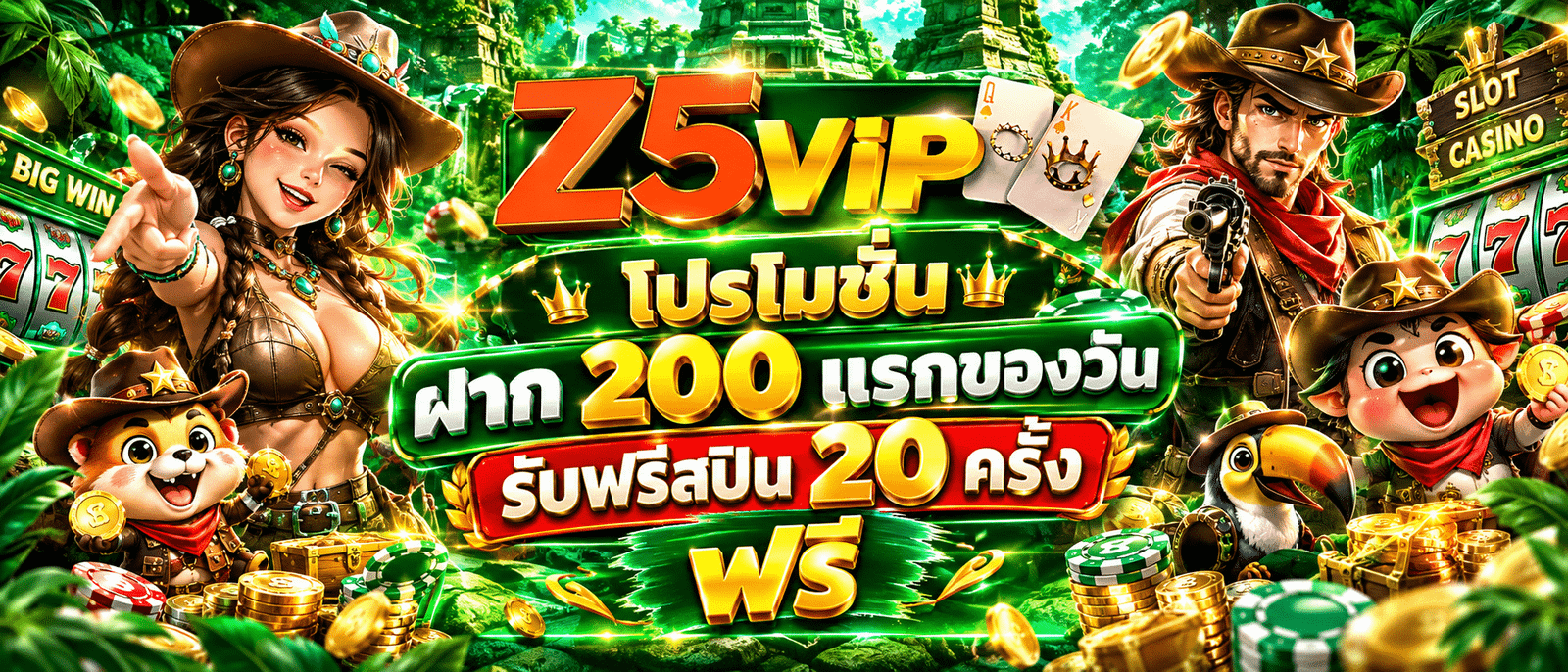 Z5VIP