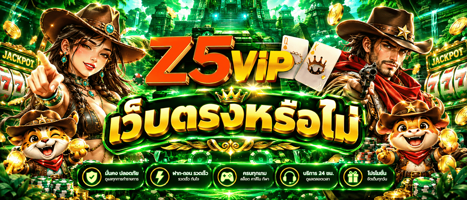 Z5VIP